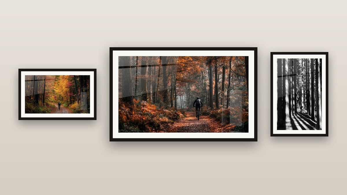 Mur de galerie avec trois tableaux encadrés : VTT en Forêt, VTT Forêt Automne et VTT Forêt d'Automne