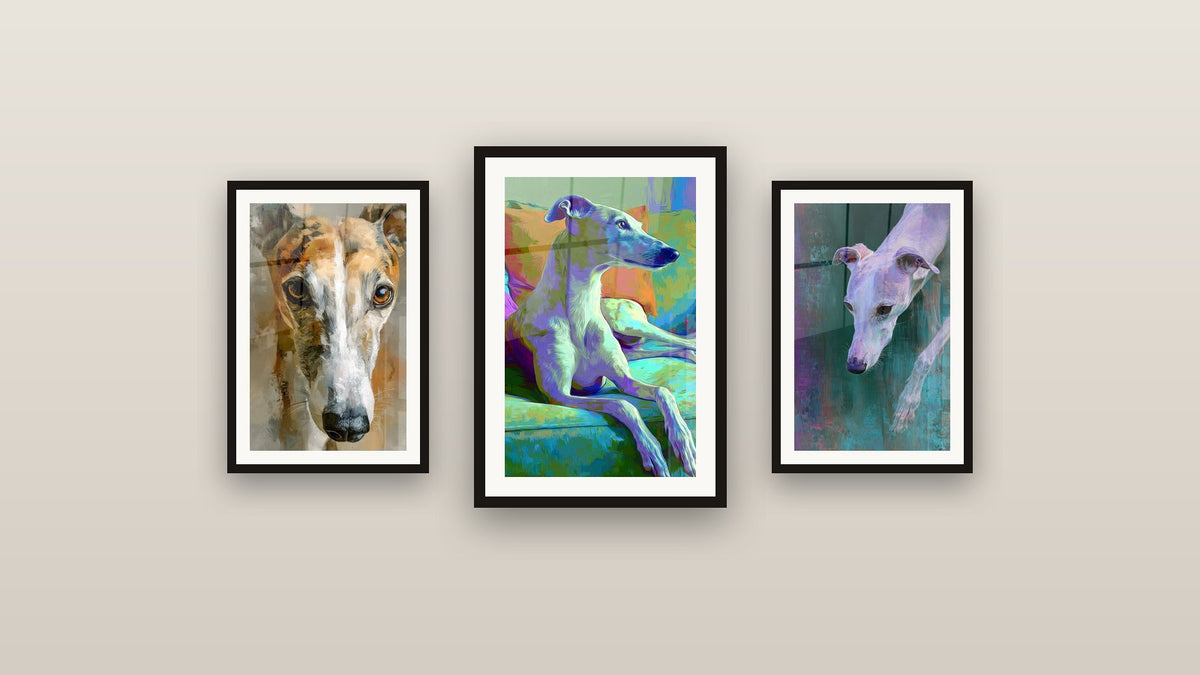 Parete galleria con tre quadri incorniciati, tra cui Levriero Whippet Toni Viola e Turchese