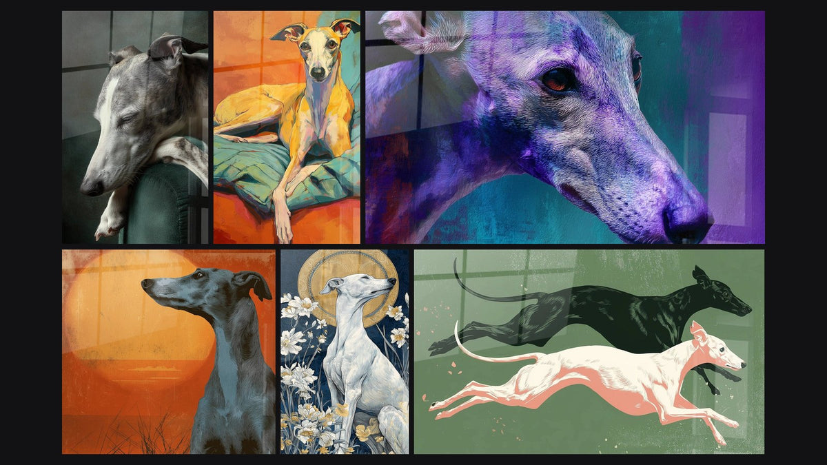 Mosaico de seis cuadros, entre ellos Lebrel Whippet Durmiendo en Sillón Verde y Lebrel Galgo al Atardecer