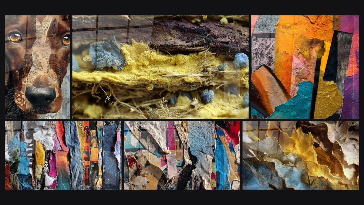 Mosaico de seis cuadros, entre ellos Estructuras orgánicas microscópicas y Abstracto multicolores