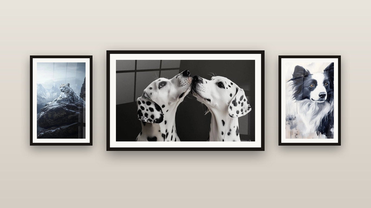 Mur de galerie avec trois tableaux encadrés : Dalmatien N°1, Border collie N°1 et Panthère des neiges N°1