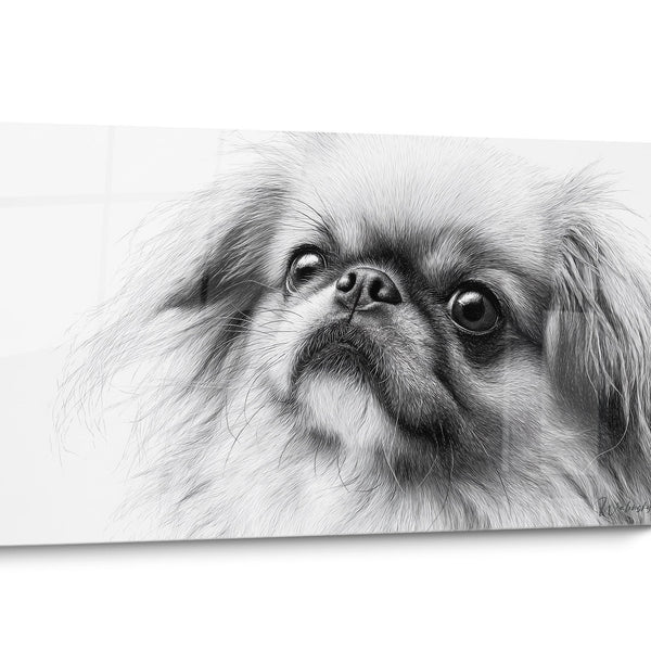 Pekinees Hond Zwart-wit Schilderij