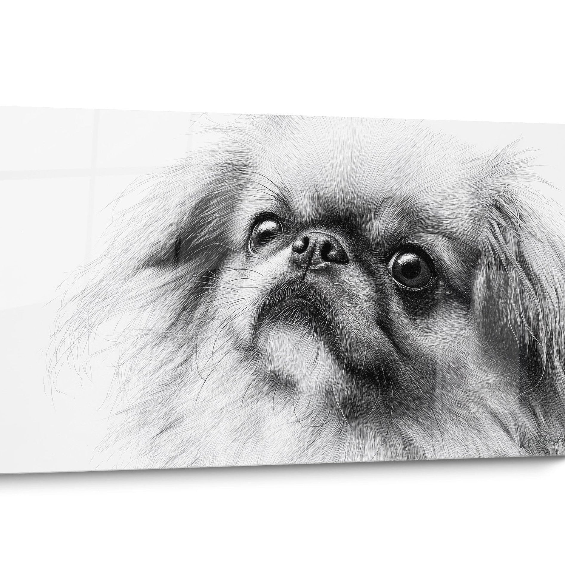 Pekingese Dog Painting Portrait