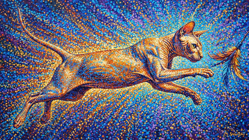 Tabella chat Peterbald