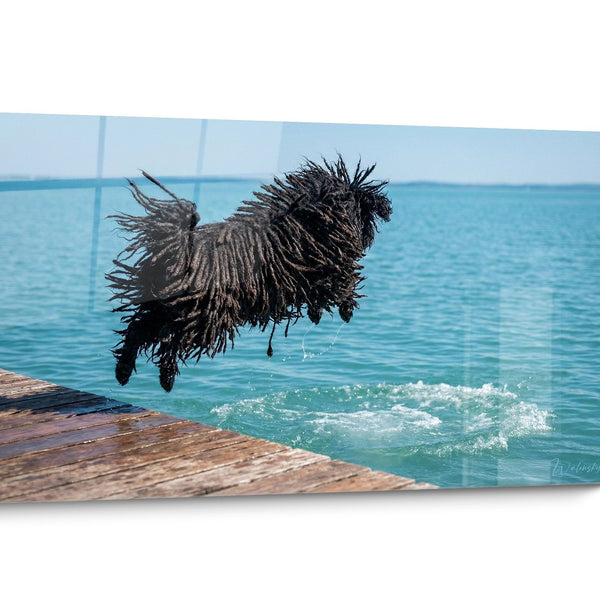 Tableau chien Puli Aquarelle