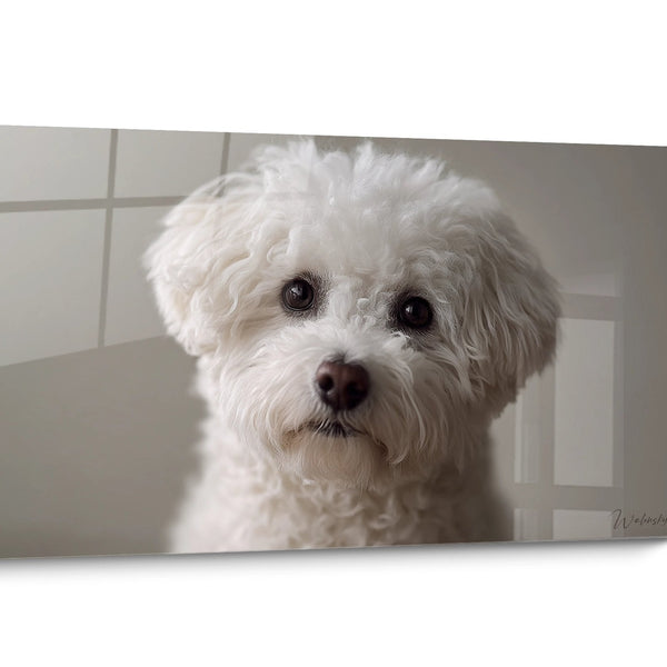 Minimalistisches Bichon Frise Hundetableau