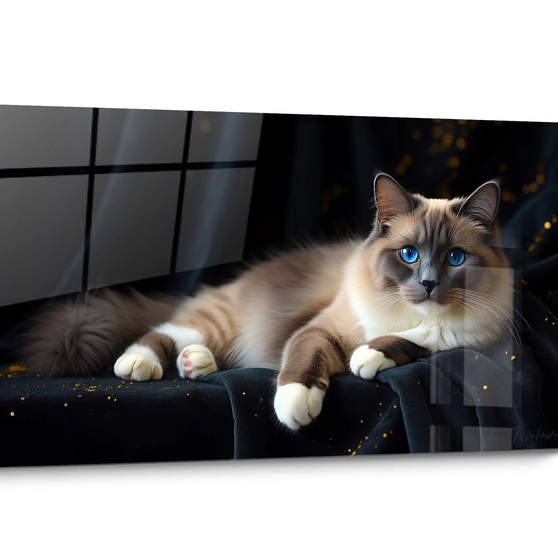 Tableau chat Birman Moderne