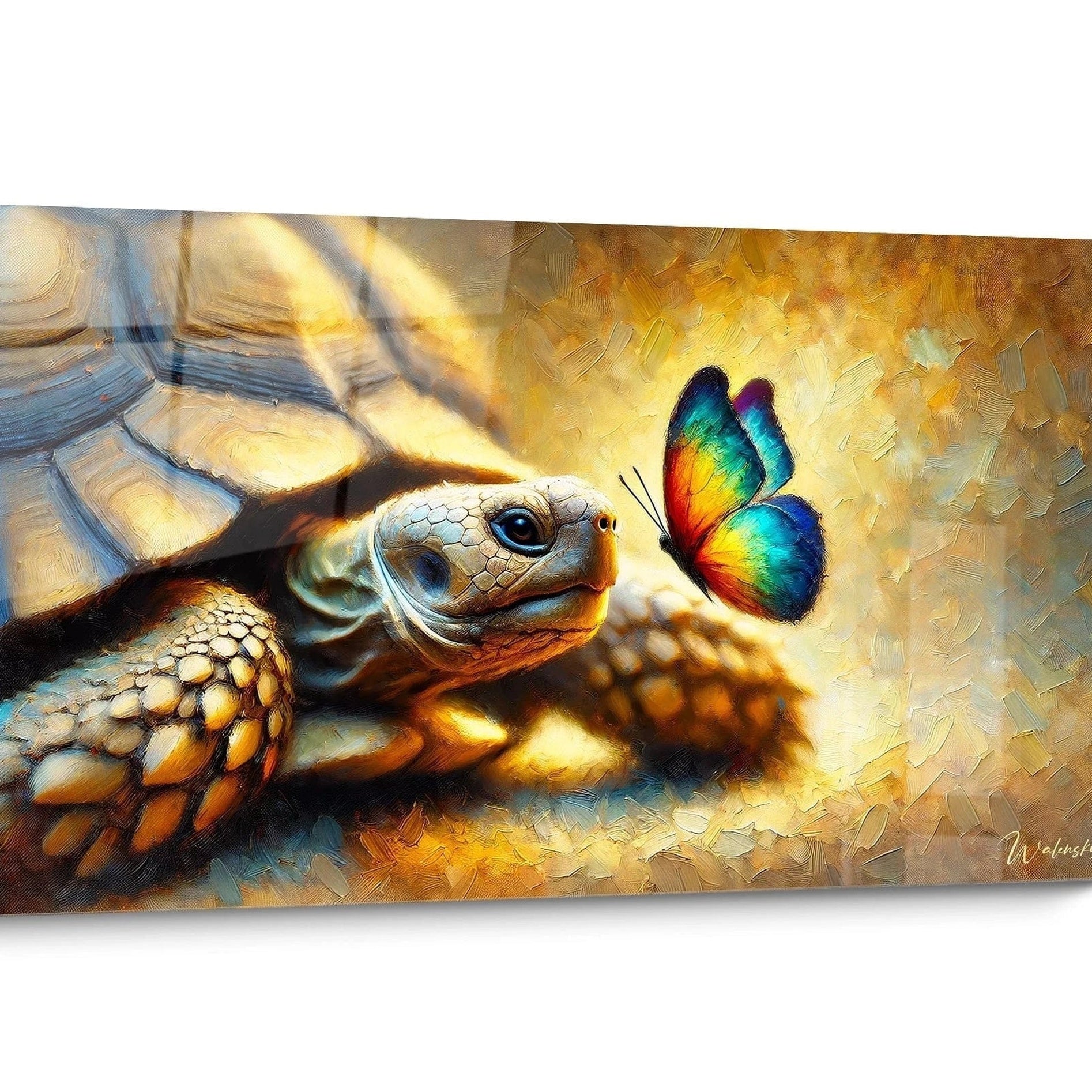Land Tortoise Wall Art