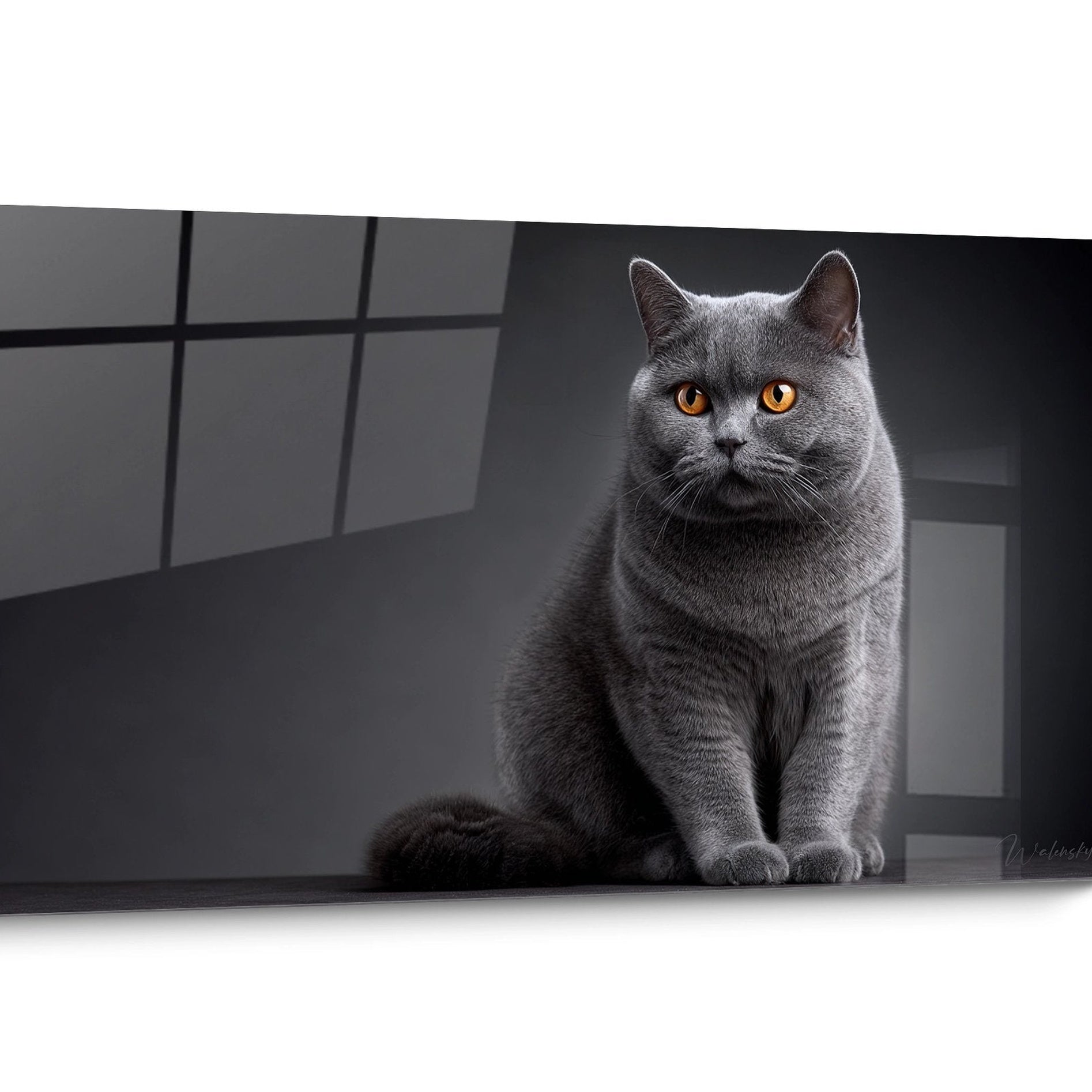 Tableau chat British shorthair Réaliste