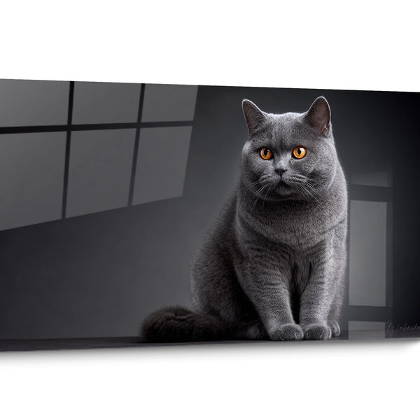 Gemälde Britische Kurzhaar Katze Realistisch