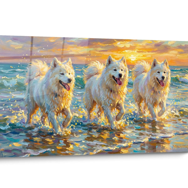Tableau chien Samoyede Colore