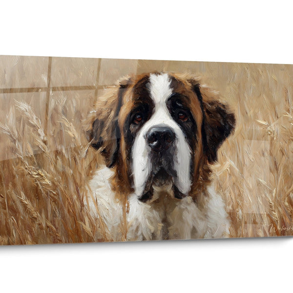 Tableau chien Saint Bernard Doré