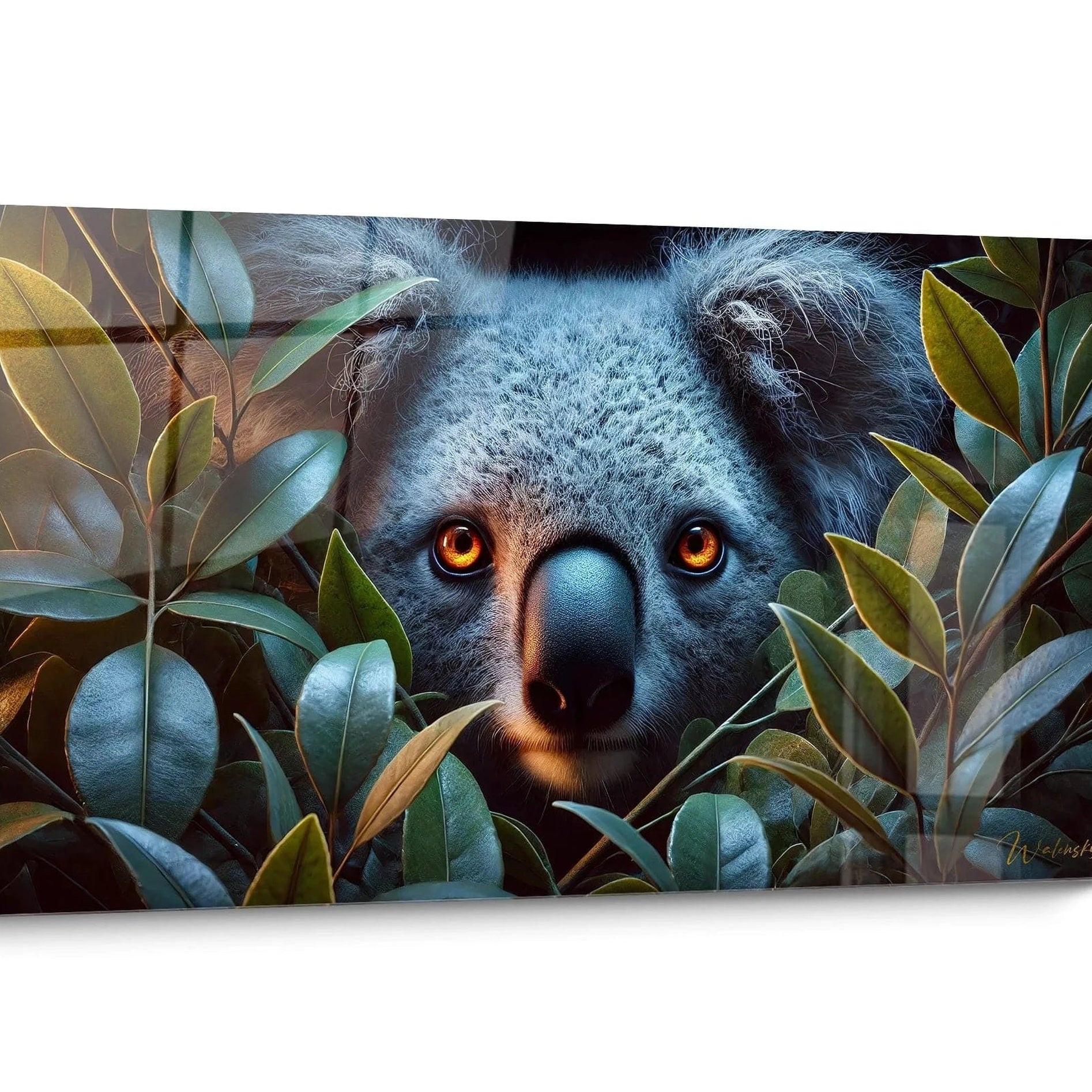 Koala Wall Art