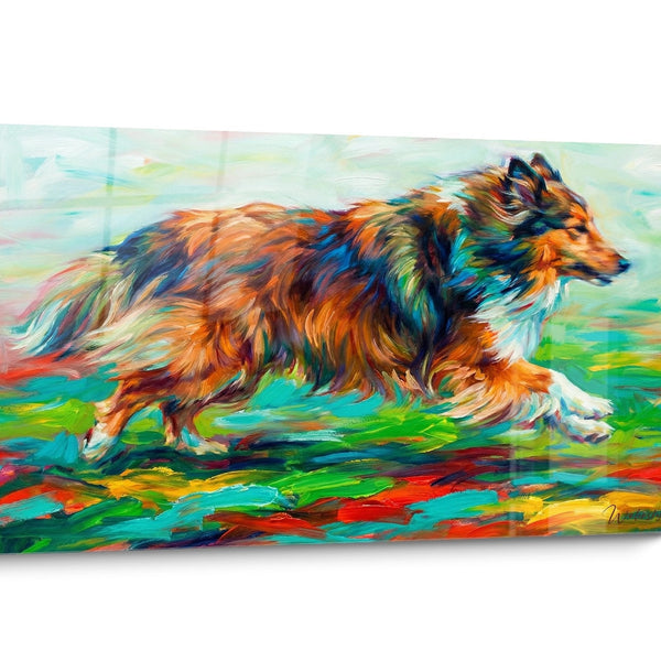 Quadro cane Pastore delle Shetland Multicolore
