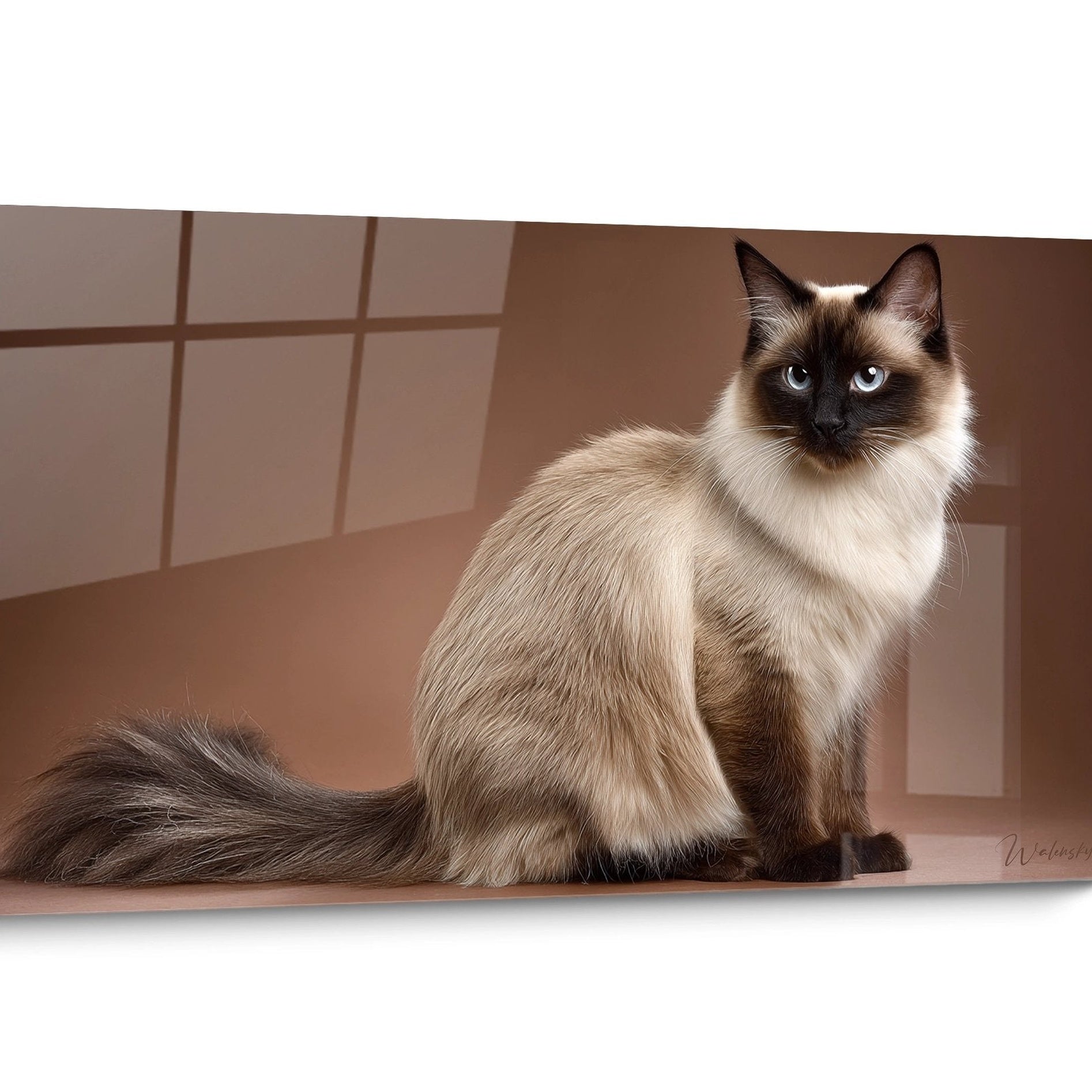 Tableau chat Balinais