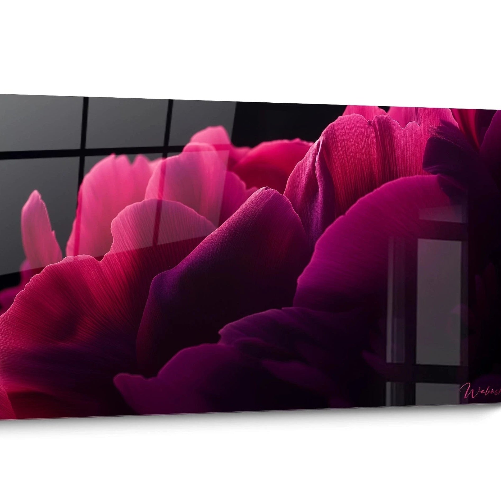 Tableau Pivoine Gros Plan