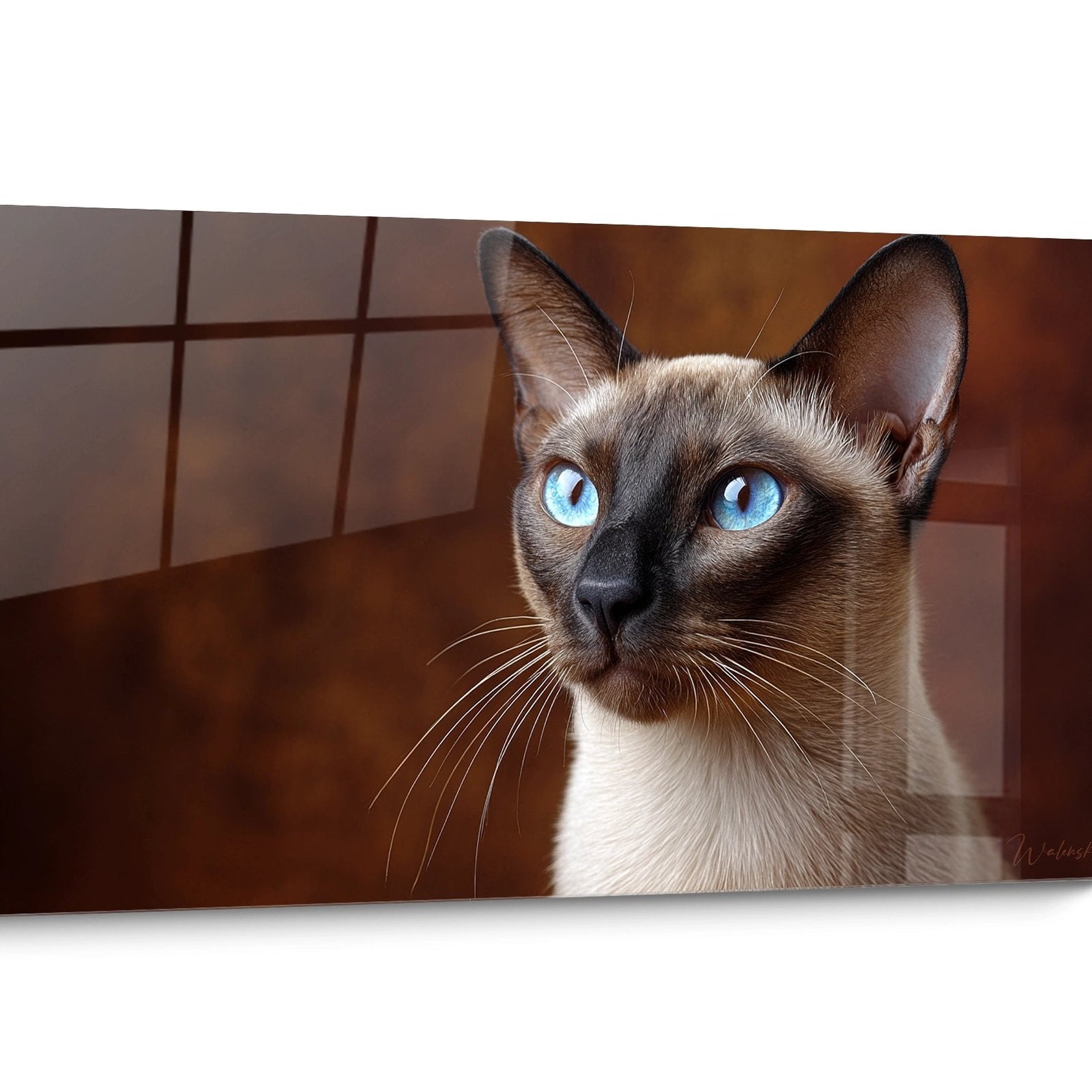 Tableau chat Tonkinese Portrait