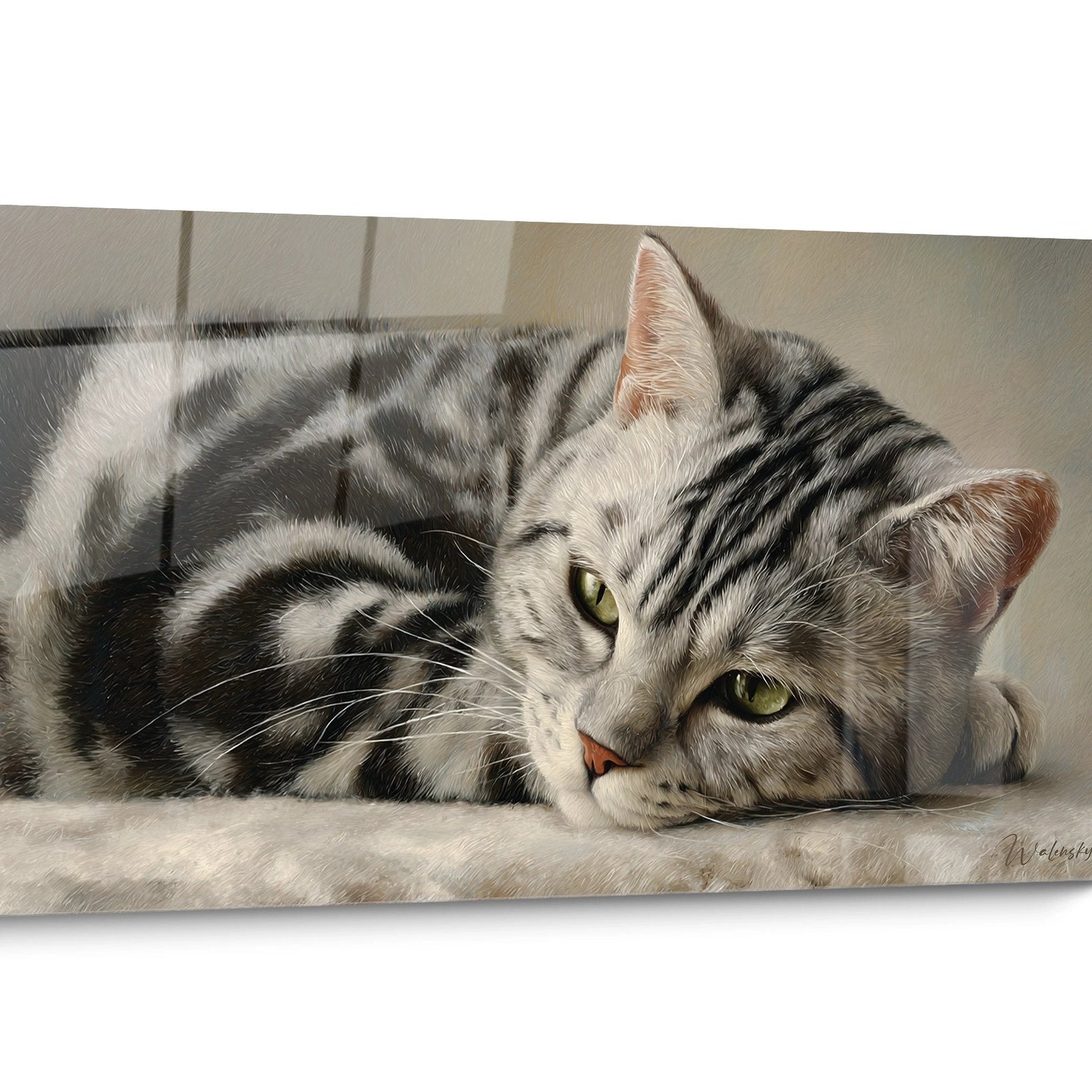 Tableau chat American Shorthair