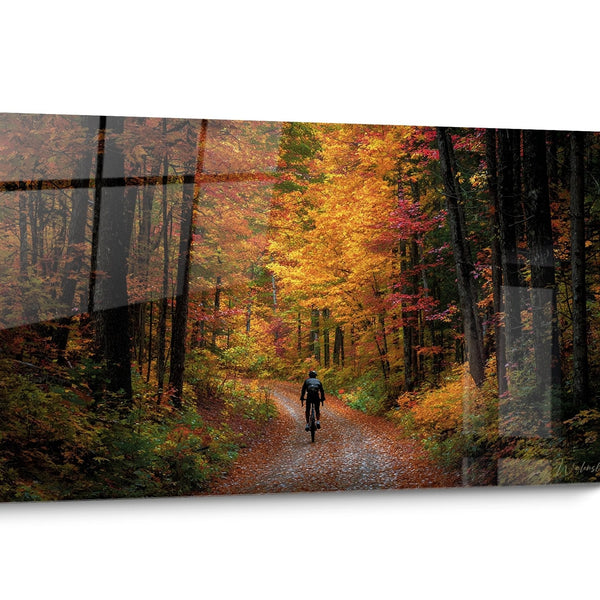 Tableau VTT Chemin Automne