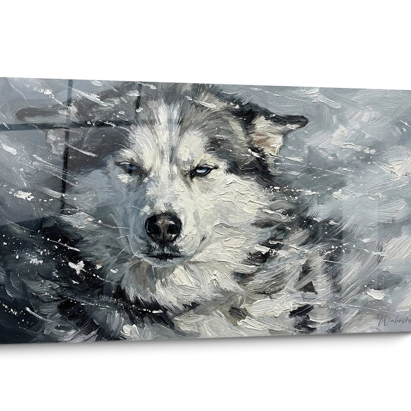 Siberian Husky Wandbild