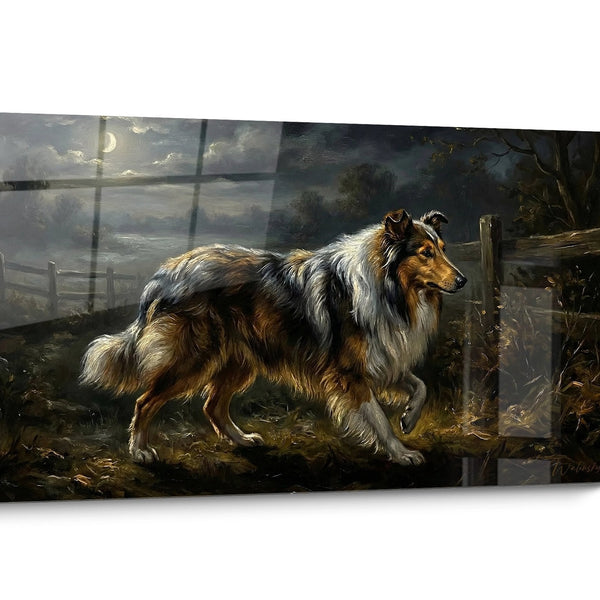 Tableau Collie Tricolore