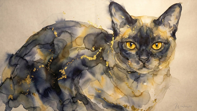 Chat di Tableau in birmano