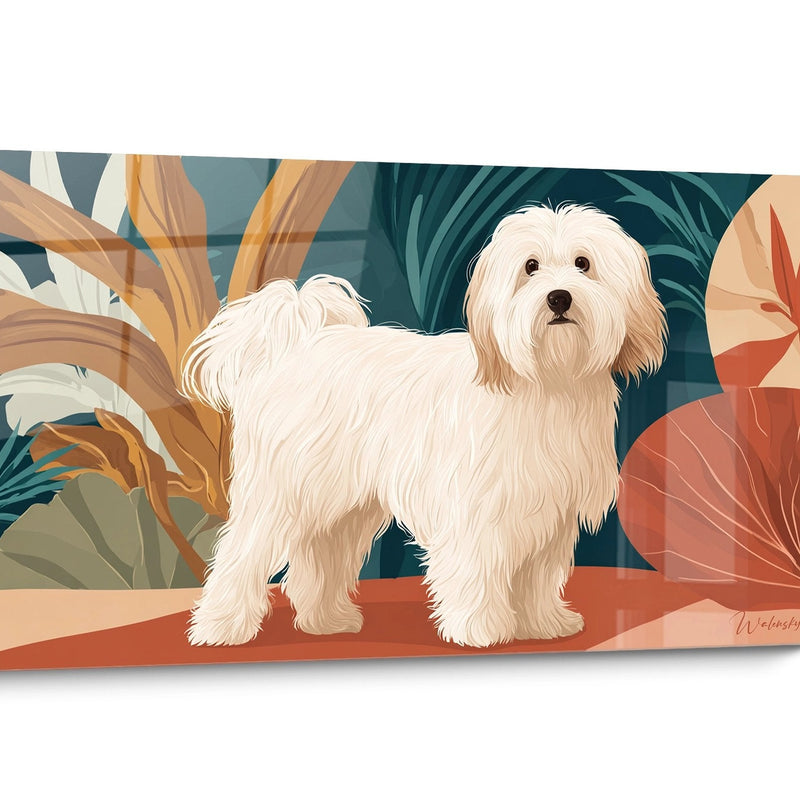 Baumwollbild Coton de Tuléar