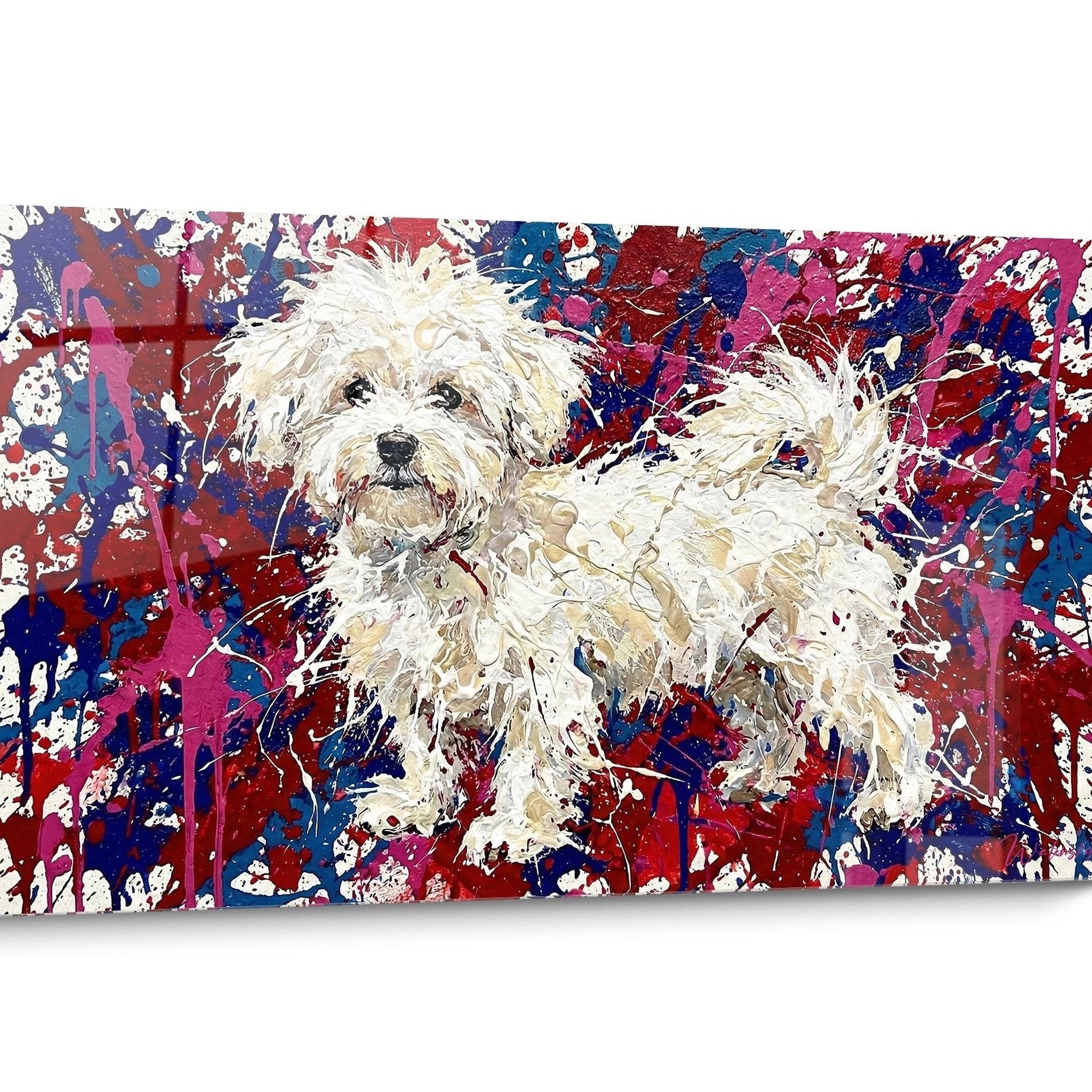 Tableau chien Bichon Maltais Pop Art