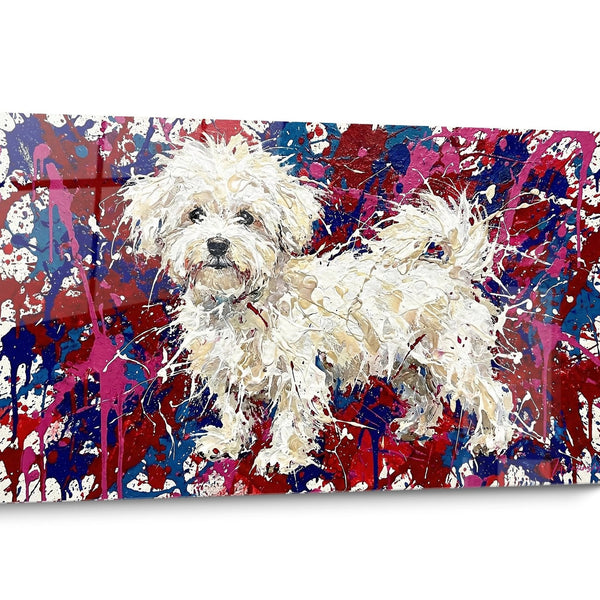 Tableau chien Bichon Maltais Pop Art