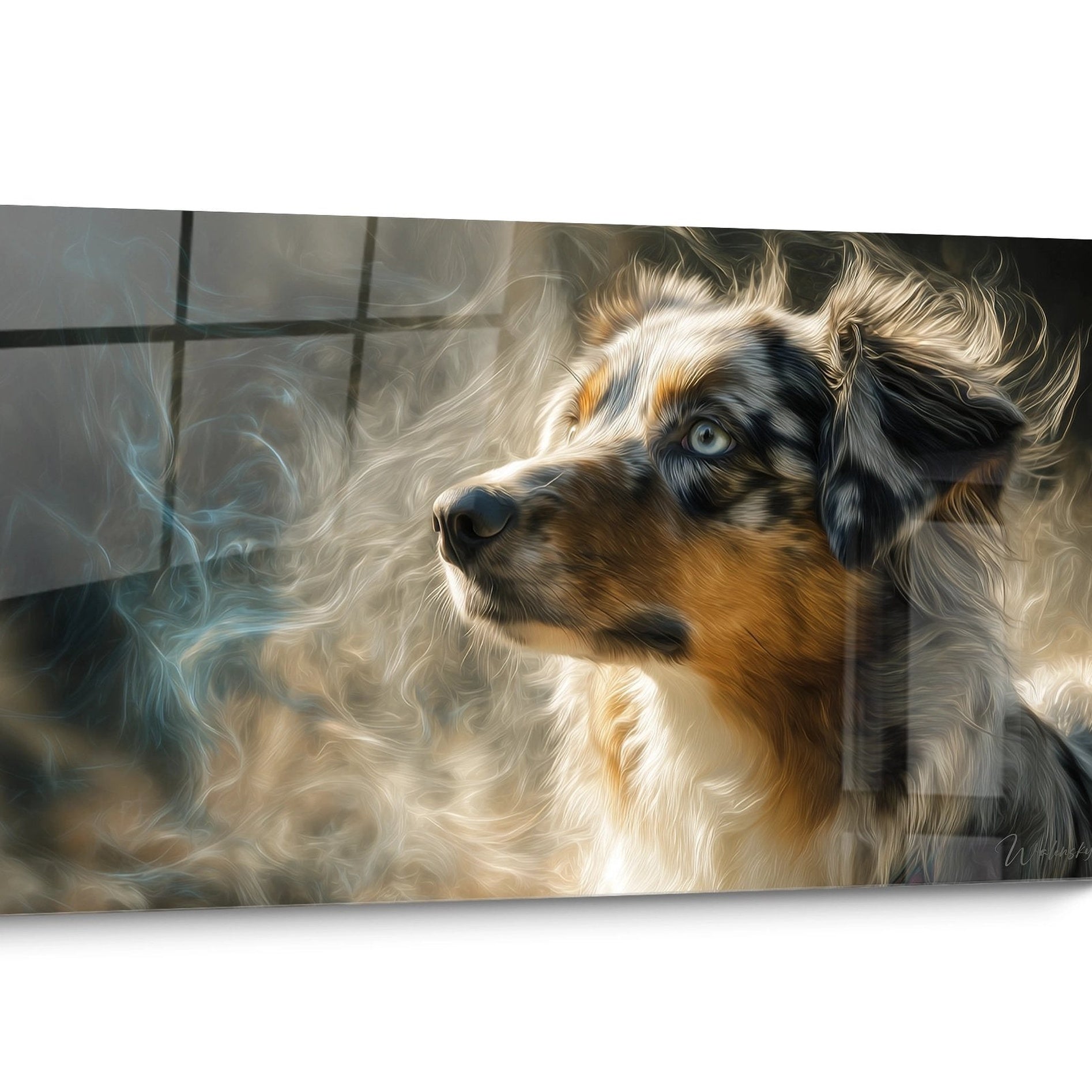 Tableau Berger Australien Yeux Bleus