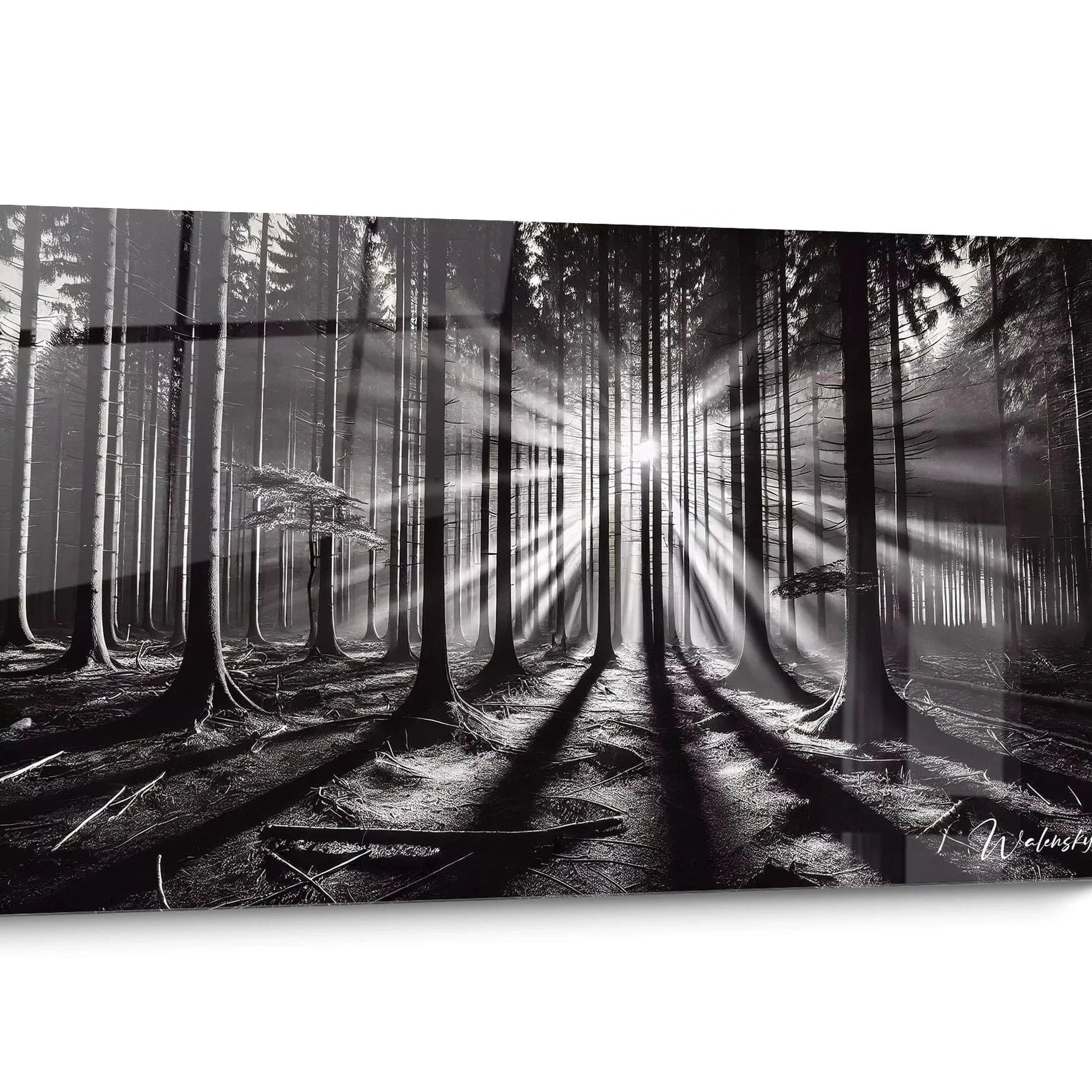 Tableau paysage noir et blanc Mystique