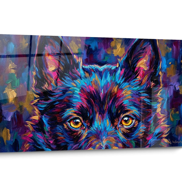 Schipperke Hund Gemälde Farbig