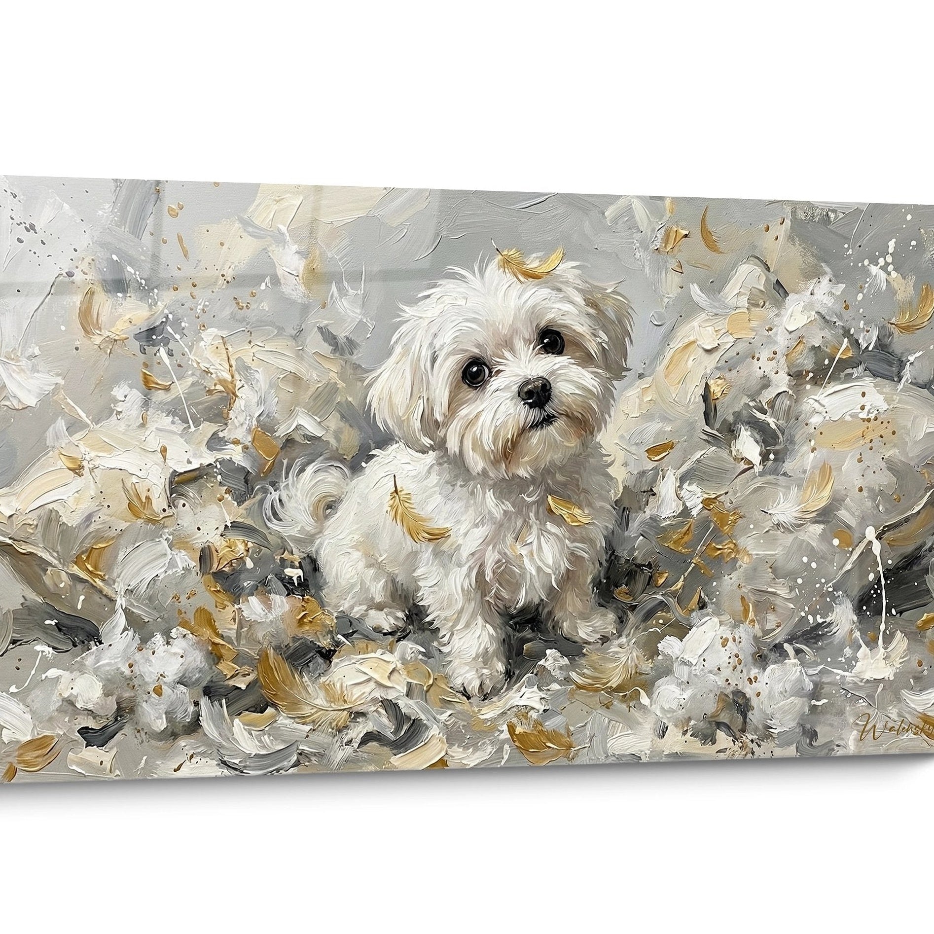 Tableau chien Bichon Maltais Doré