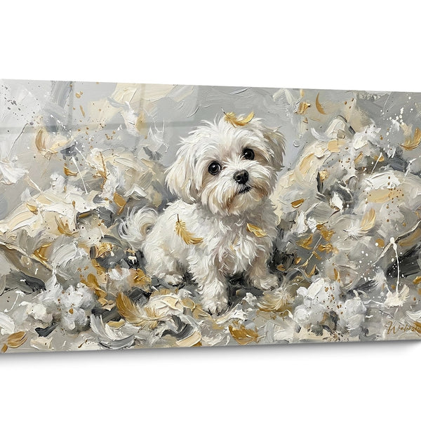 Tableau chien Bichon Maltais Doré