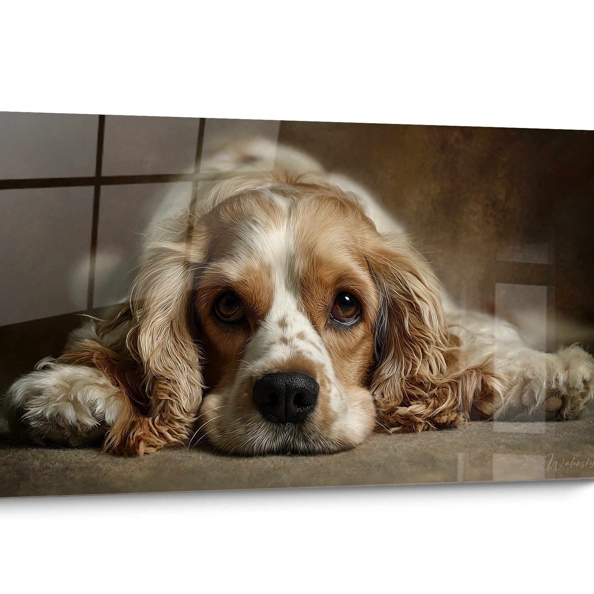 Tableau chien Cocker Americain Doré