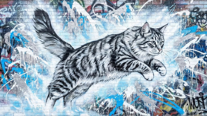 Chat di Tableau Gatto della Foresta Norvegese