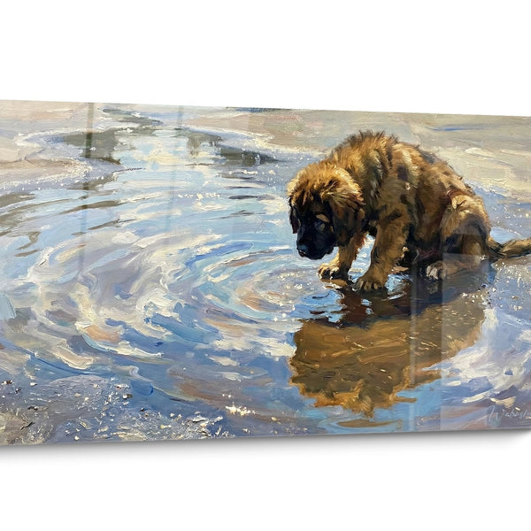 Tableau chien Terre Neuve Aquatique