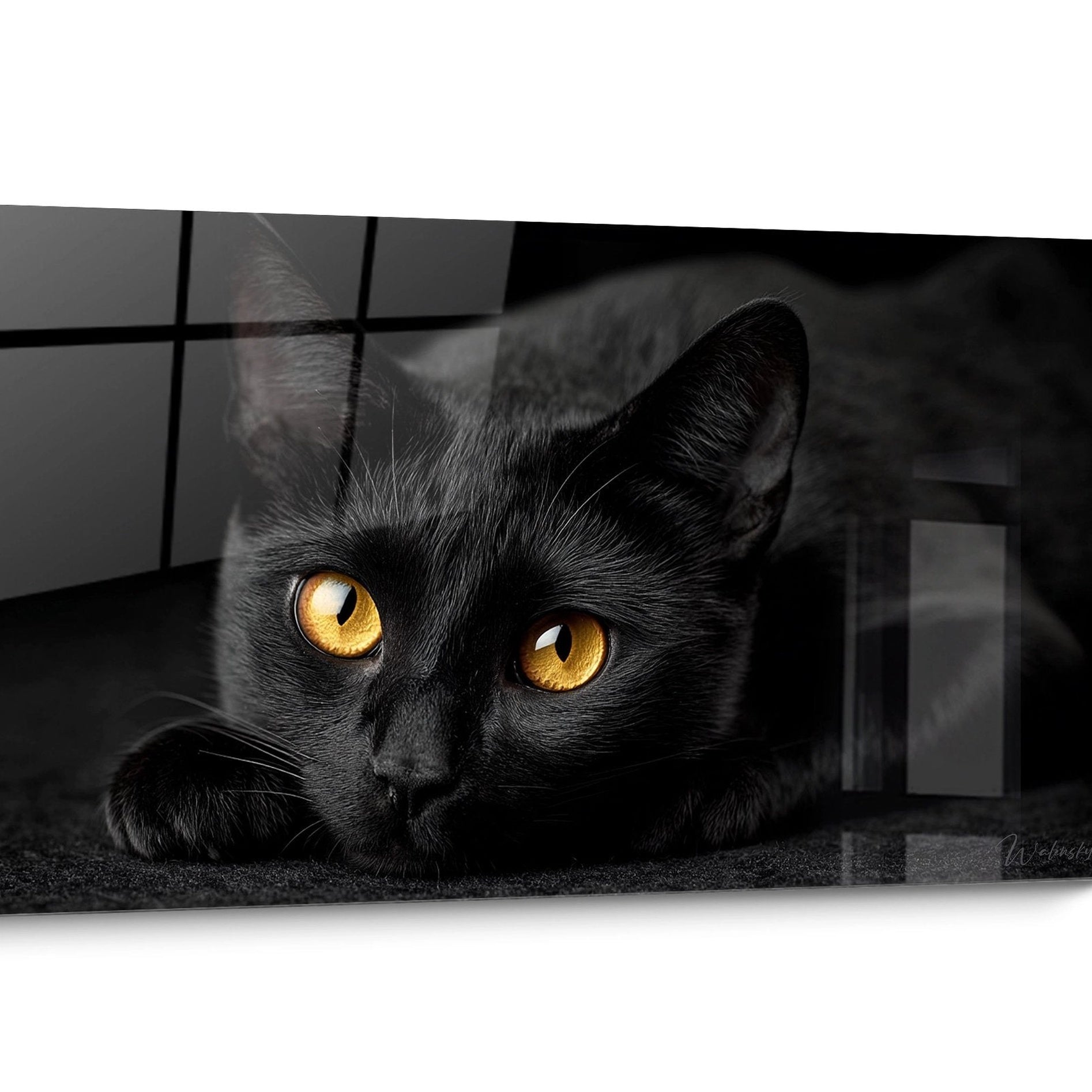 Tableau chat Bombay Portrait