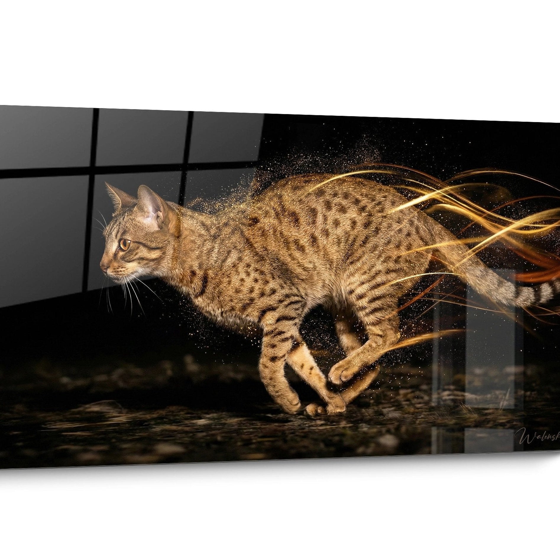 Tableau chat Ocicat Moderne