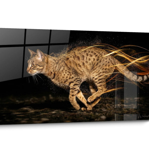 Modern Ocicat Cat Wall Art