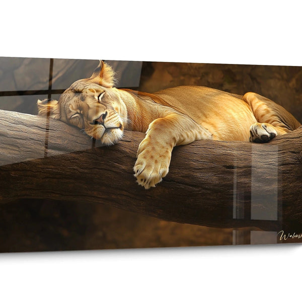 Tableau lionne Dorée