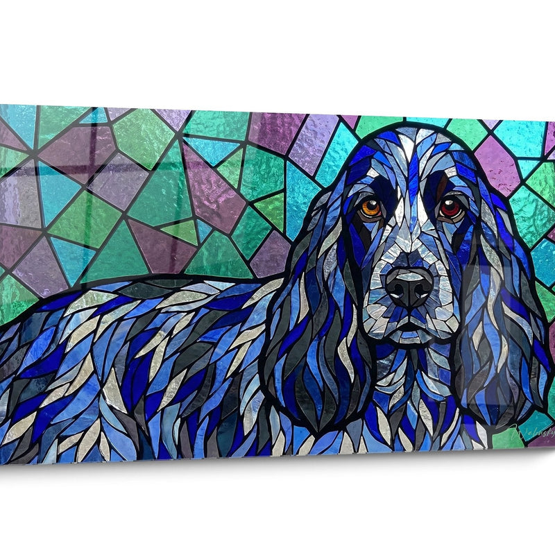 Englischer Cocker Spaniel Bild