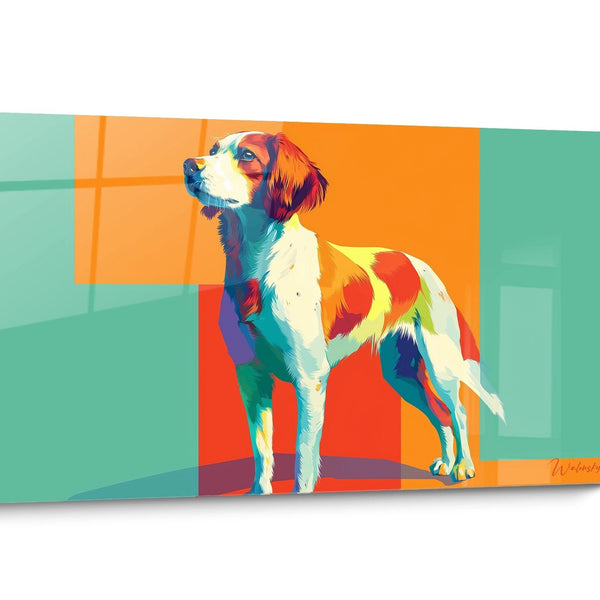 Quadro Cane Bretone Spaniel Pop Art