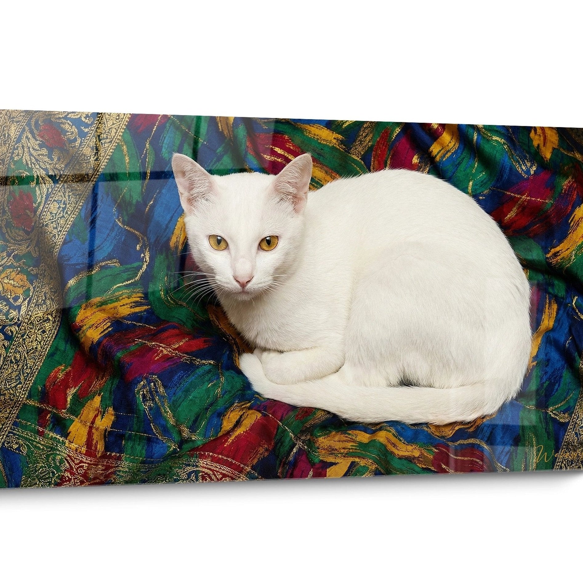 Khao Manee Golden Cat Wall Art