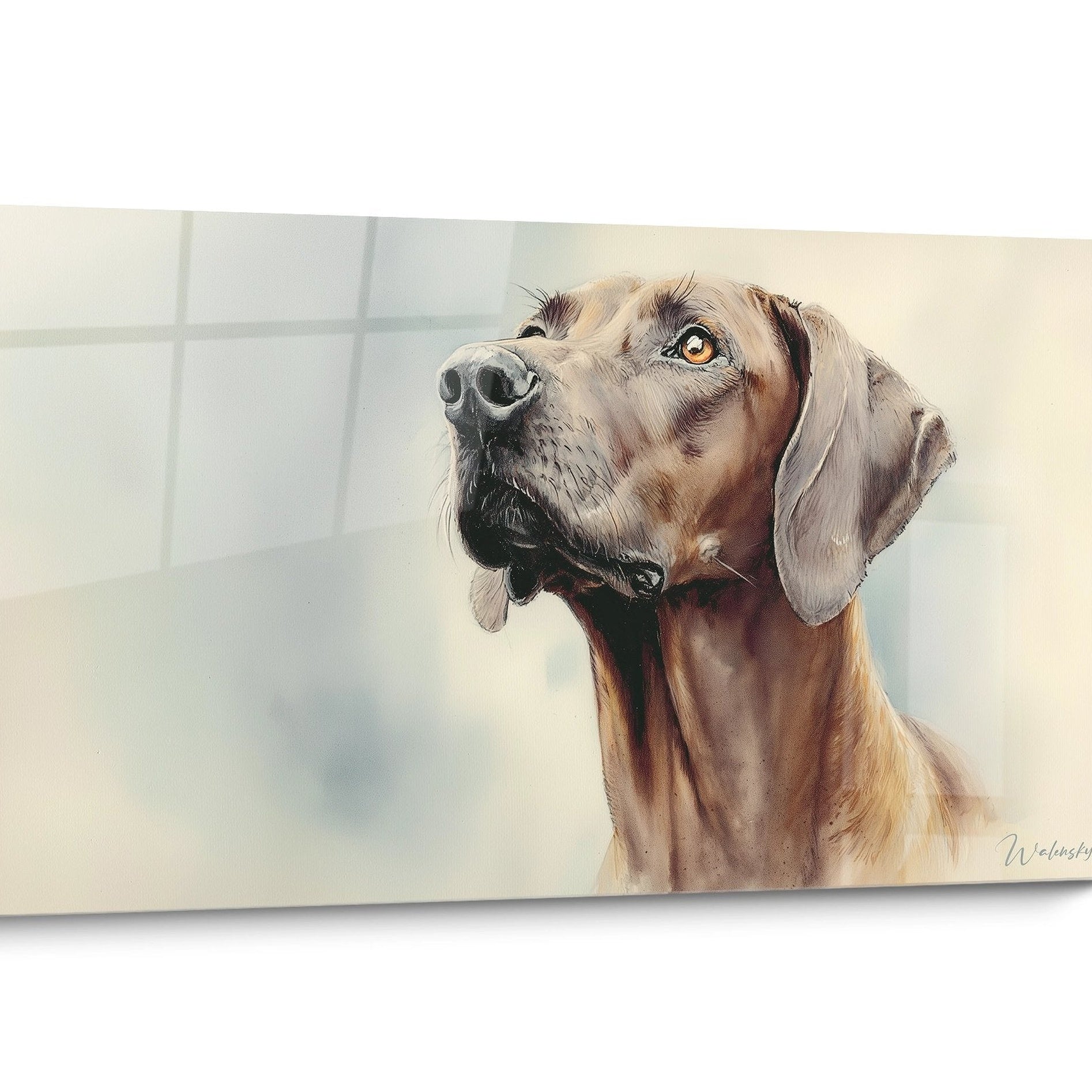 Tableau chien Rhodesian Ridgeback Doré