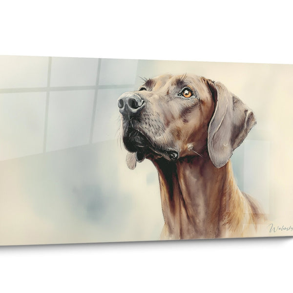 Tableau chien Rhodesian Ridgeback Doré