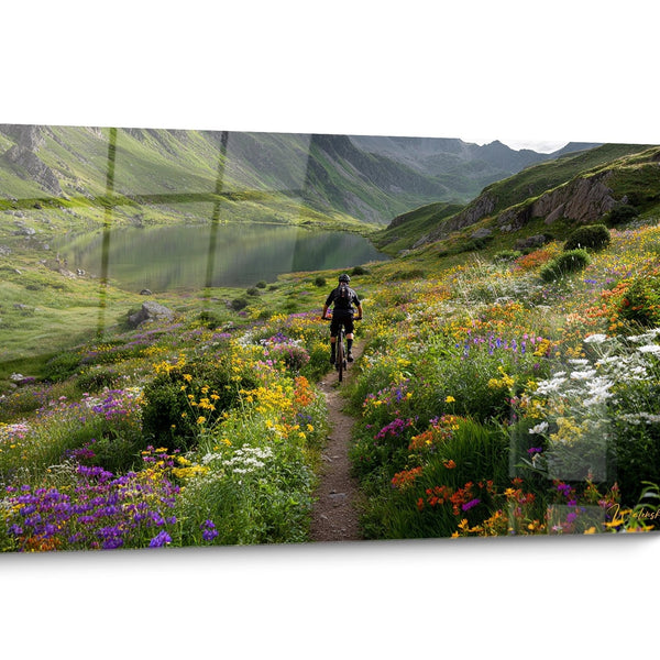 Mountain Bike Trail Wall Art