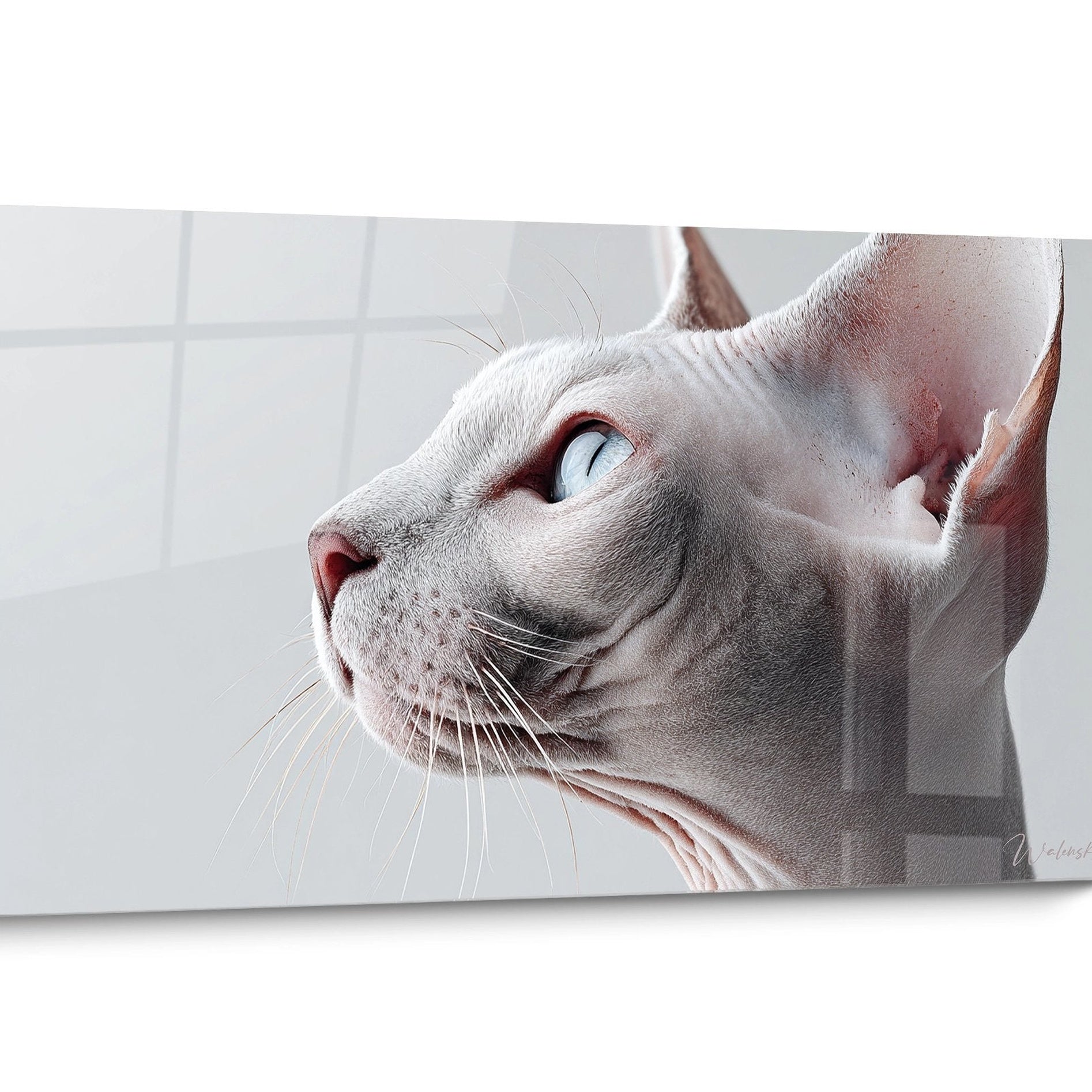 Sphynx Cat Portrait Wall Art