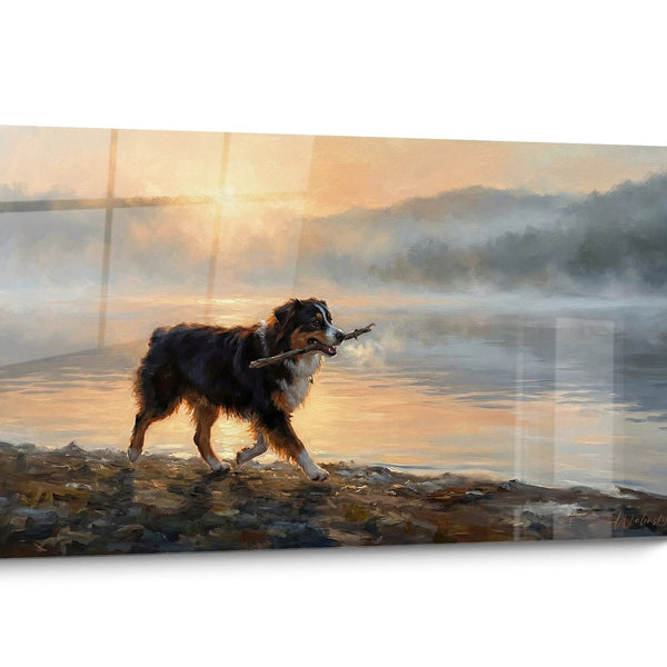 Tableau chien Berger Americain Miniature Coucher Soleil
