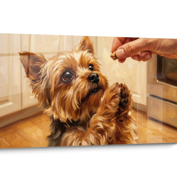 Tableau chien Yorkshire Terrier Doré